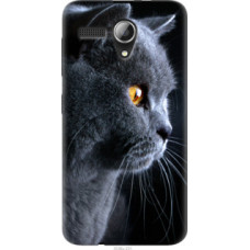 Чехол на Lenovo A606 Красивый кот (3038u-231)