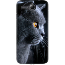 Чехол на Lenovo A680 Красивый кот (3038u-198)