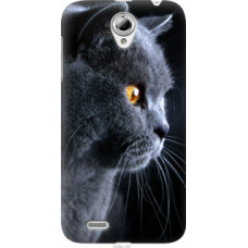 Чехол на Lenovo A859 Красивый кот (3038u-197)