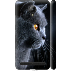 Чехол на Lenovo Vibe C2 Красивый кот (3038c-397)