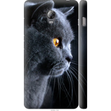 Чехол на Lenovo Vibe P1 Красивый кот (3038c-152)