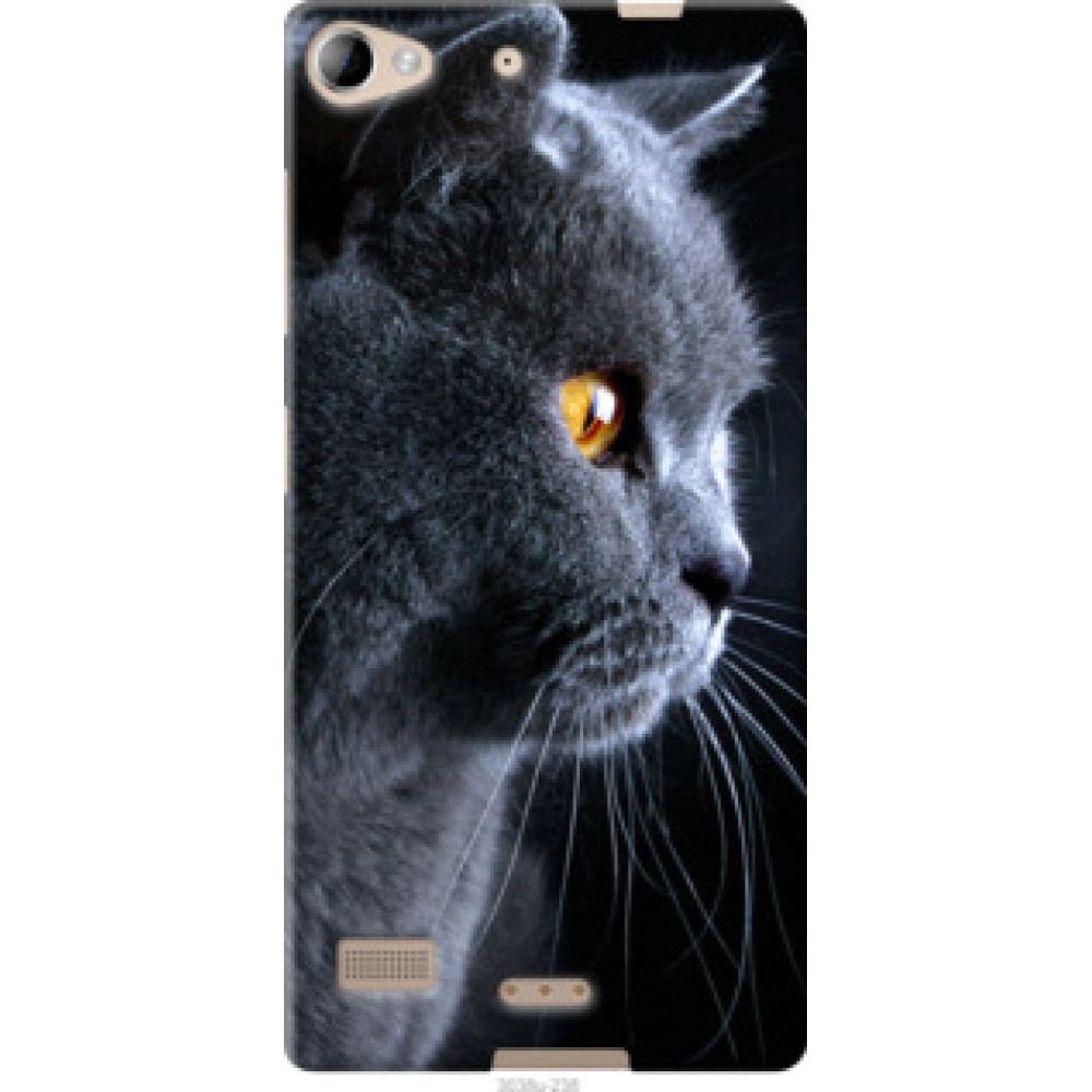 Чехол на Lenovo Vibe X2 Красивый кот (3038u-238)