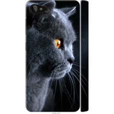 Чехол на Lenovo ZUK Z2 Красивый кот (3038c-827)