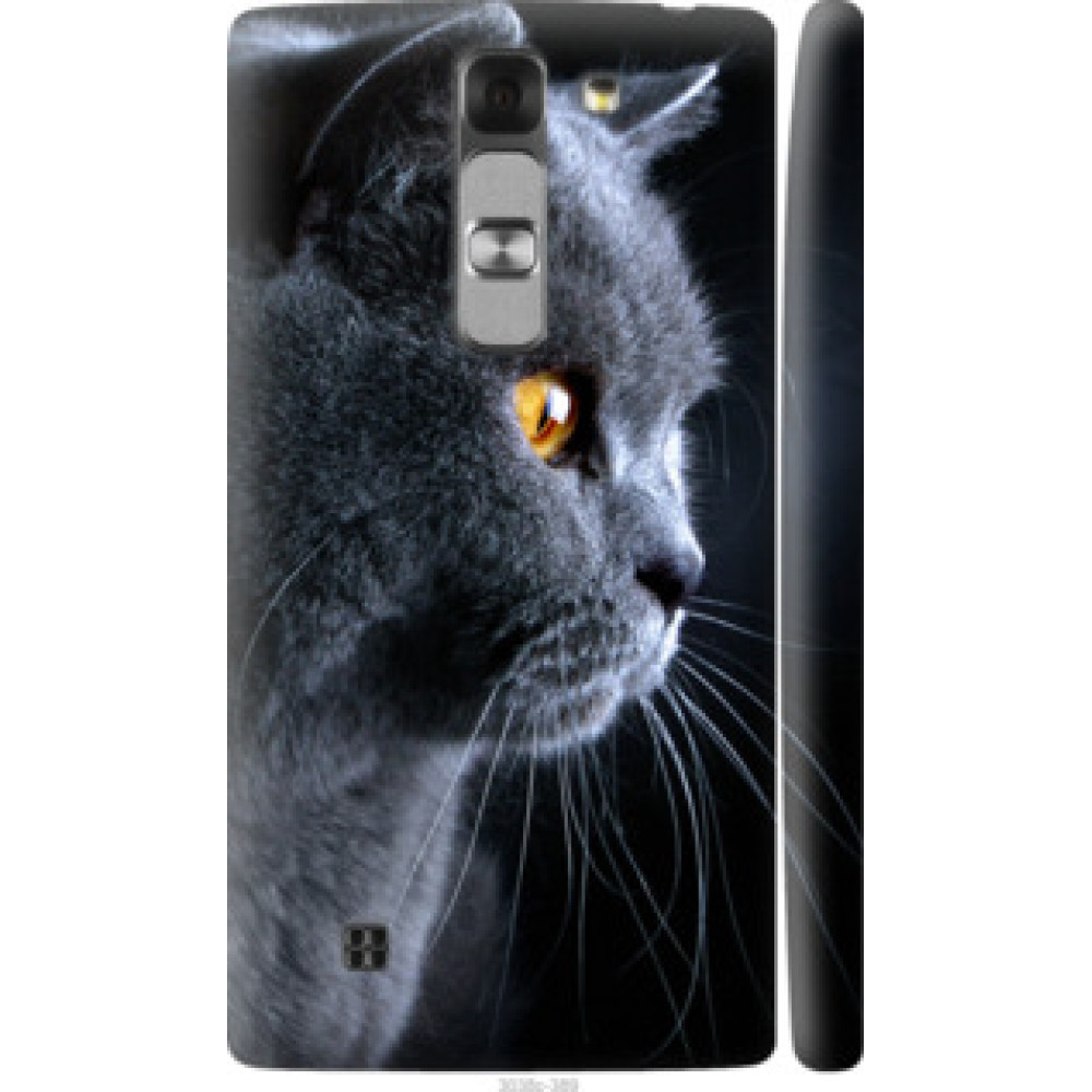 Чехол на LG G4c H522y Красивый кот (3038c-389)