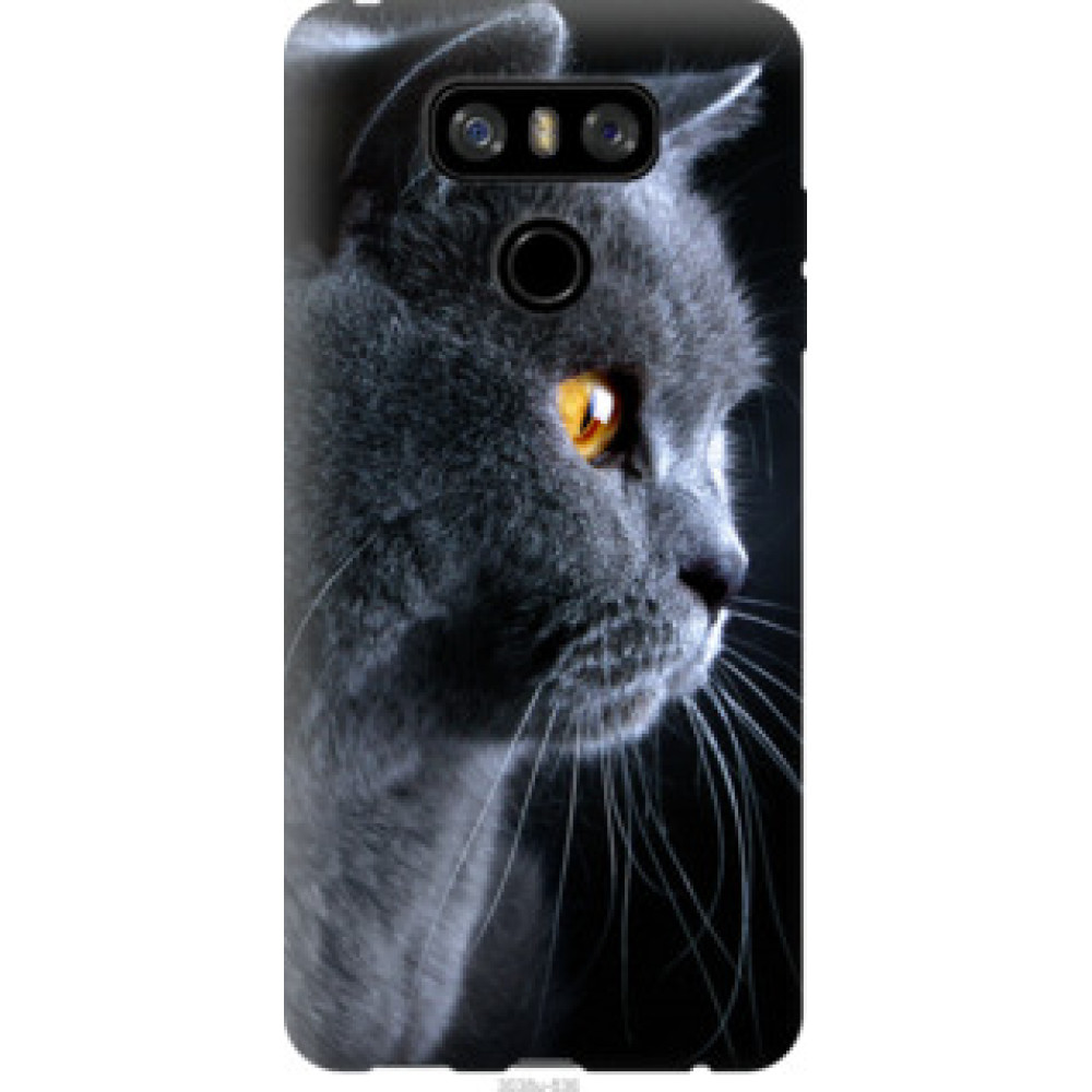 Чохол на LG G6 Красивый кот (3038u-836)