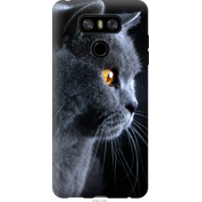 Чехол на LG G6 Красивый кот (3038u-836)