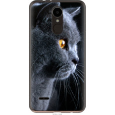 Чехол на LG K7 2017 X230 Красивый кот (3038u-1469)