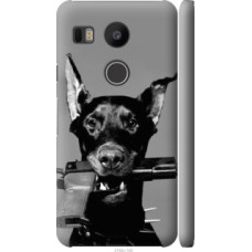 Чехол на LG Nexus 5X H791 Доберман (2745c-150)