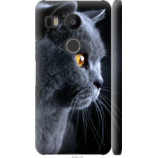 Чехол на LG Nexus 5X H791 Красивый кот (3038c-150)