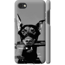 Чехол на LG Q6 Доберман (2745c-1094)