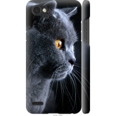 Чехол на LG Q6 Красивый кот (3038c-1094)