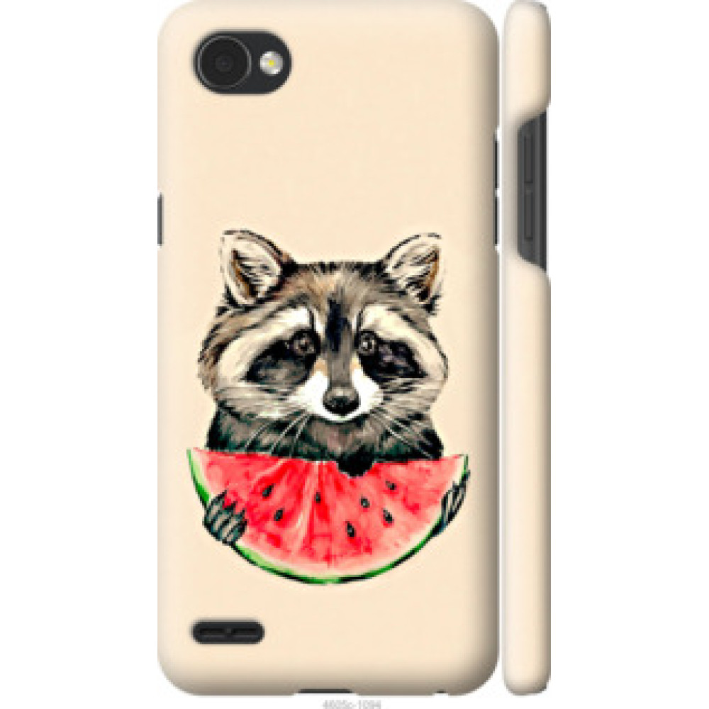 Чехол на LG Q6 Енотик с арбузом (4605c-1094)