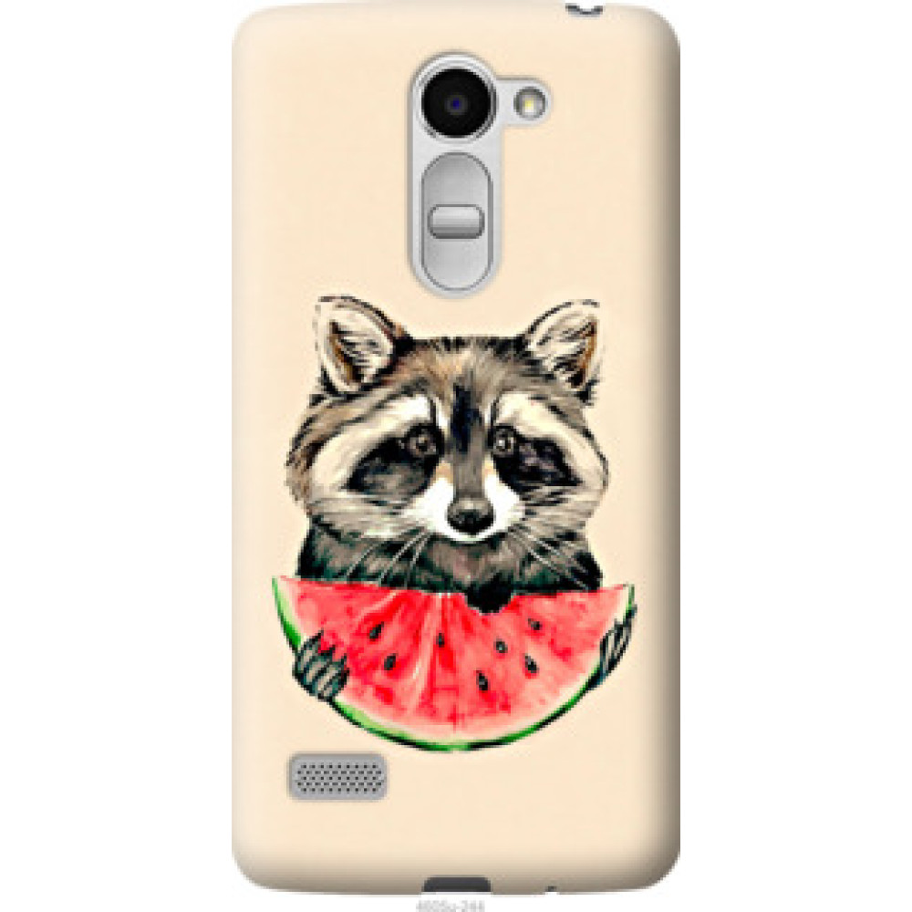 Чехол на LG Ray / X190 Енотик с арбузом (4605u-244)
