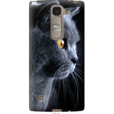 Чехол на LG Spirit Dual H422 Красивый кот (3038u-245)
