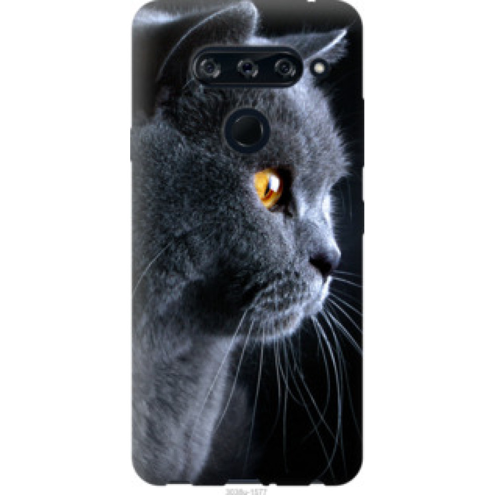Чохол на LG V40 ThinQ Красивый кот (3038u-1577)
