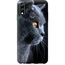 Чехол на LG W10 Красивый кот (3038u-1784)