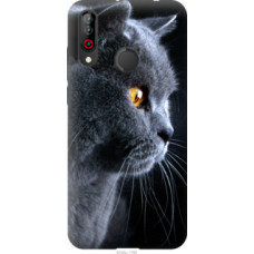 Чехол на LG W30 Красивый кот (3038u-1785)