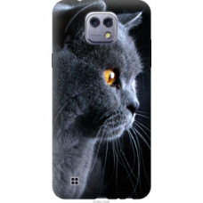 Чехол на LG X Cam K580 Красивый кот (3038u-1028)