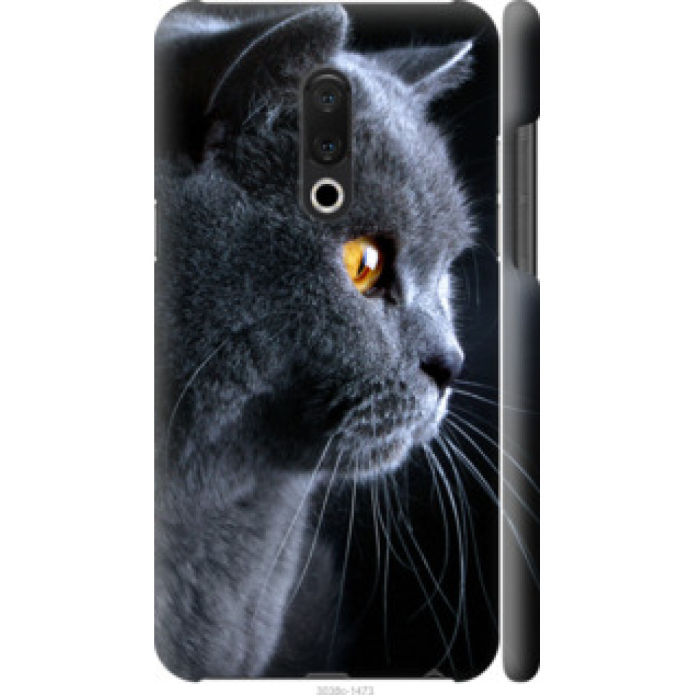 Чехол на Meizu 15 Plus Красивый кот (3038c-1473)