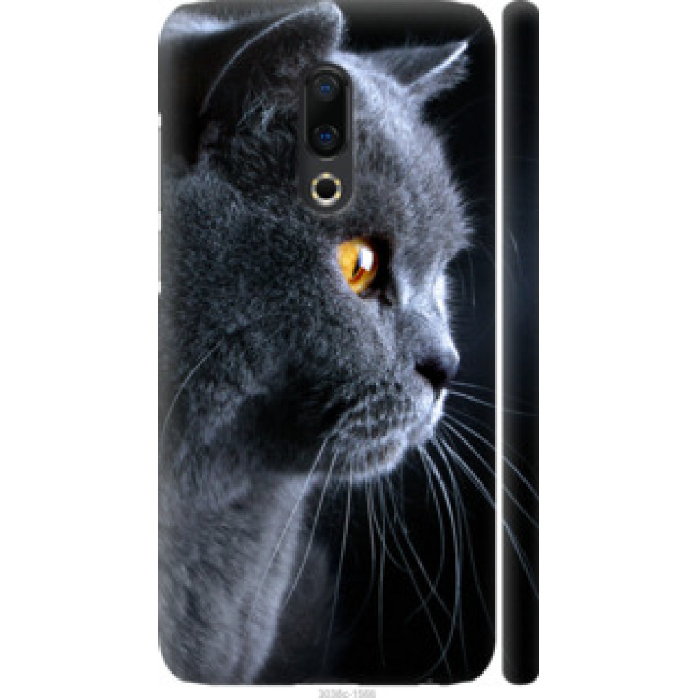 Чехол на Meizu 16 Plus Красивый кот (3038c-1566)