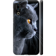 Чехол на Meizu 16S Красивый кот (3038c-1701)