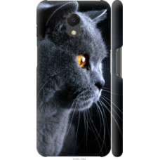 Чехол на Meizu M6s Красивый кот (3038c-1364)