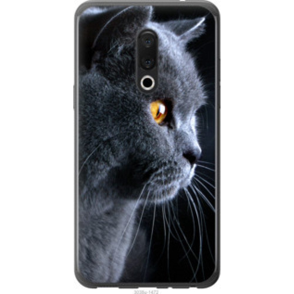 Чехол на Meizu 15 Красивый кот (3038u-1472)