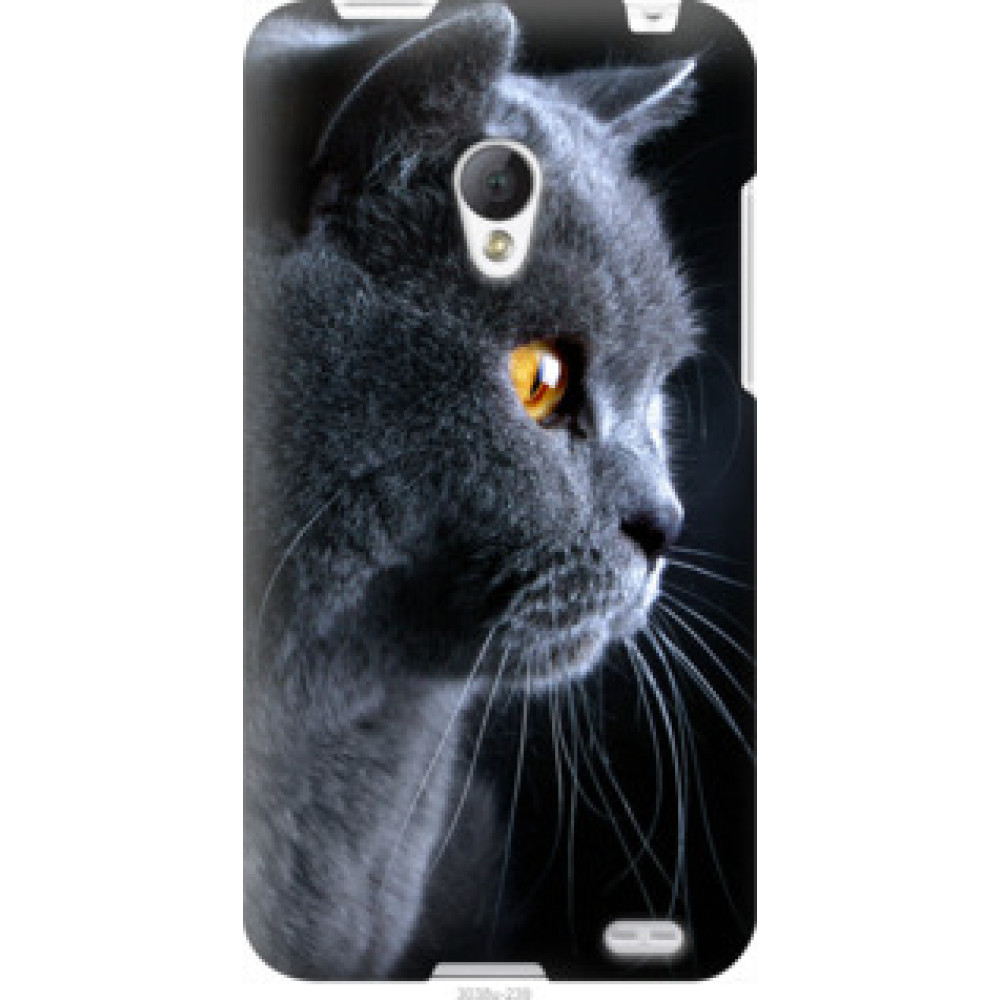 Чохол на Meizu MX2 Красивый кот (3038u-239)