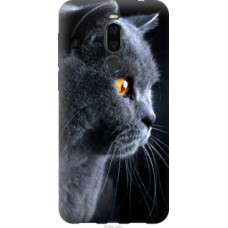Чехол на Meizu X8 Красивый кот (3038u-1601)