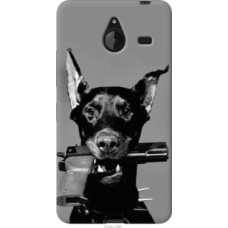 Чехол на Microsoft Lumia 640 XL Доберман (2745u-168)