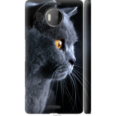 Чехол на Microsoft Lumia 950 XL Dual Sim Красивый кот (3038c-407)