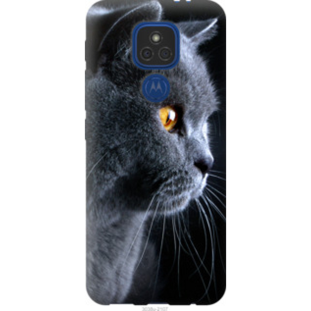 Чехол на Motorola E7 Plus Красивый кот (3038u-2107)