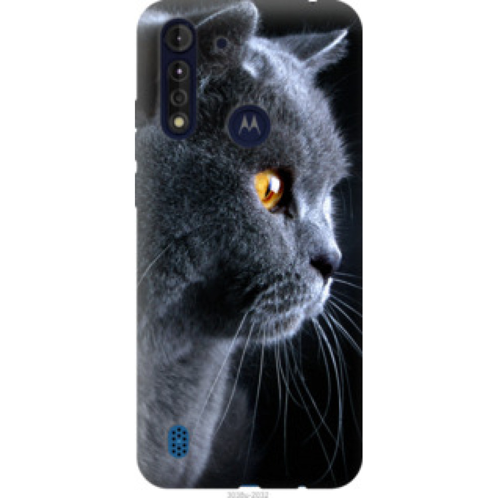 Чохол на Motorola G8 Power Lite Красивый кот (3038u-2032)