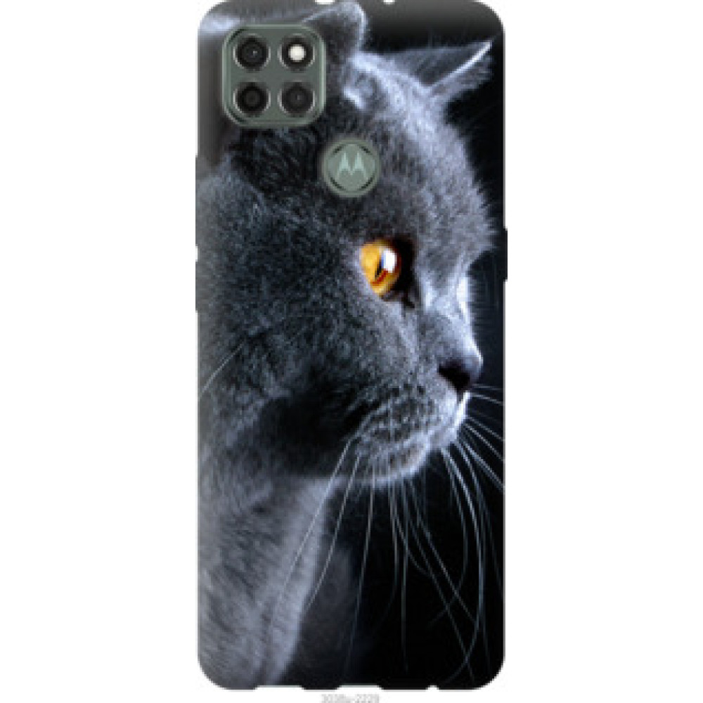 Чехол на Motorola G9 Power Красивый кот (3038u-2229)