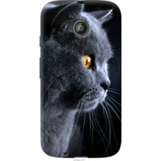 Чехол на Motorola Moto E2 Красивый кот (3038u-377)