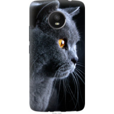 Чехол на Motorola Moto E4 Plus Красивый кот (3038u-1000)