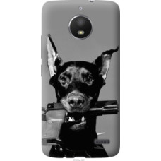 Чехол на Motorola Moto E4 Доберман (2745u-981)