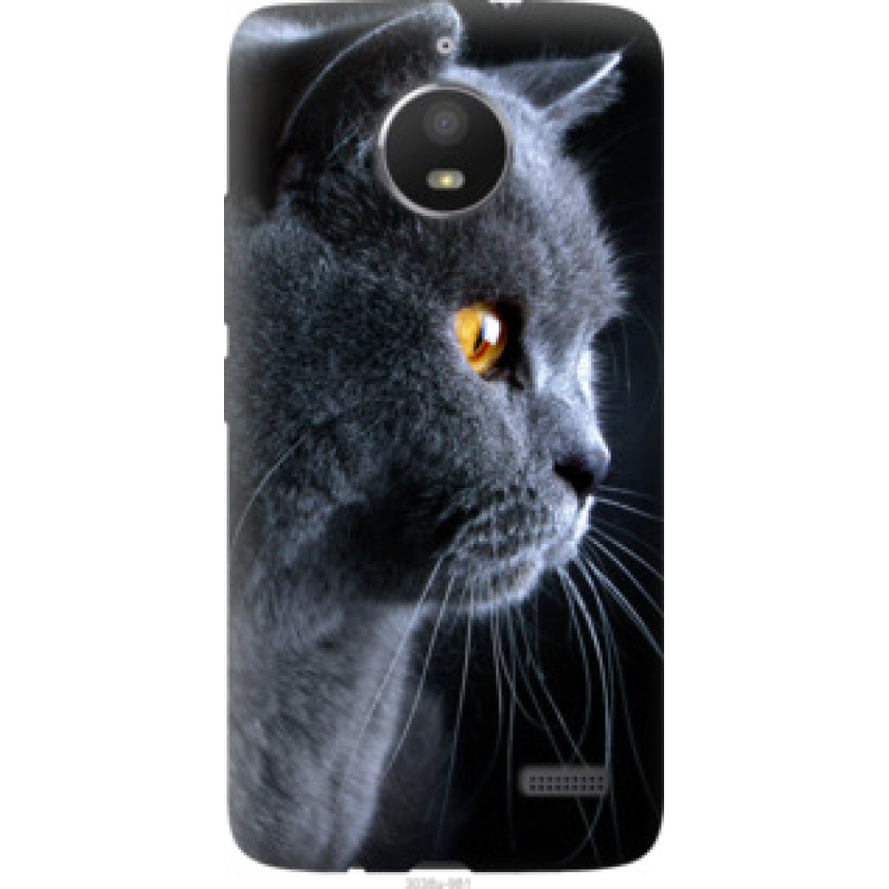 Чохол на Motorola Moto E4 Красивый кот (3038u-981)