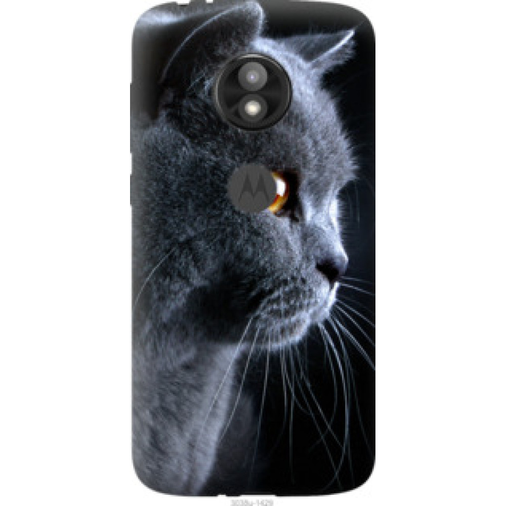 Чехол на Motorola Moto E5 Play Красивый кот (3038u-1429)