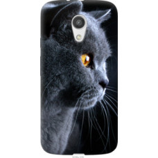 Чехол на Motorola Moto G2 Красивый кот (3038u-330)
