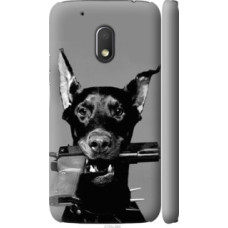 Чехол на Motorola Moto G4 Play Доберман (2745c-860)
