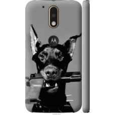 Чехол на Motorola MOTO G4 Доберман (2745c-511)
