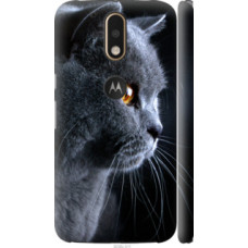 Чехол на Motorola MOTO G4 Красивый кот (3038c-511)