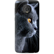 Чехол на Motorola Moto G6 Красивый кот (3038u-982)