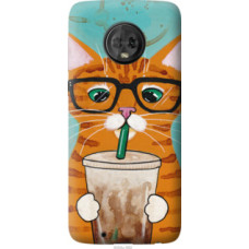 Чехол на Motorola Moto G6 Зеленоглазый кот в очках (4054u-982)