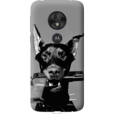 Чехол на Motorola Moto G7 Play Доберман (2745u-1656)