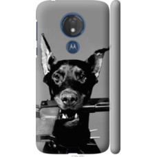 Чехол на Motorola Moto G7 Power Доберман (2745c-1657)