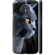 Чехол на Motorola Moto G7 Power Красивый кот (3038c-1657)