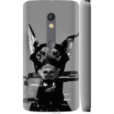 Чехол на Motorola Moto X Play Доберман (2745c-459)