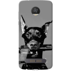 Чехол на Motorola Moto Z2 Play Доберман (2745u-1001)
